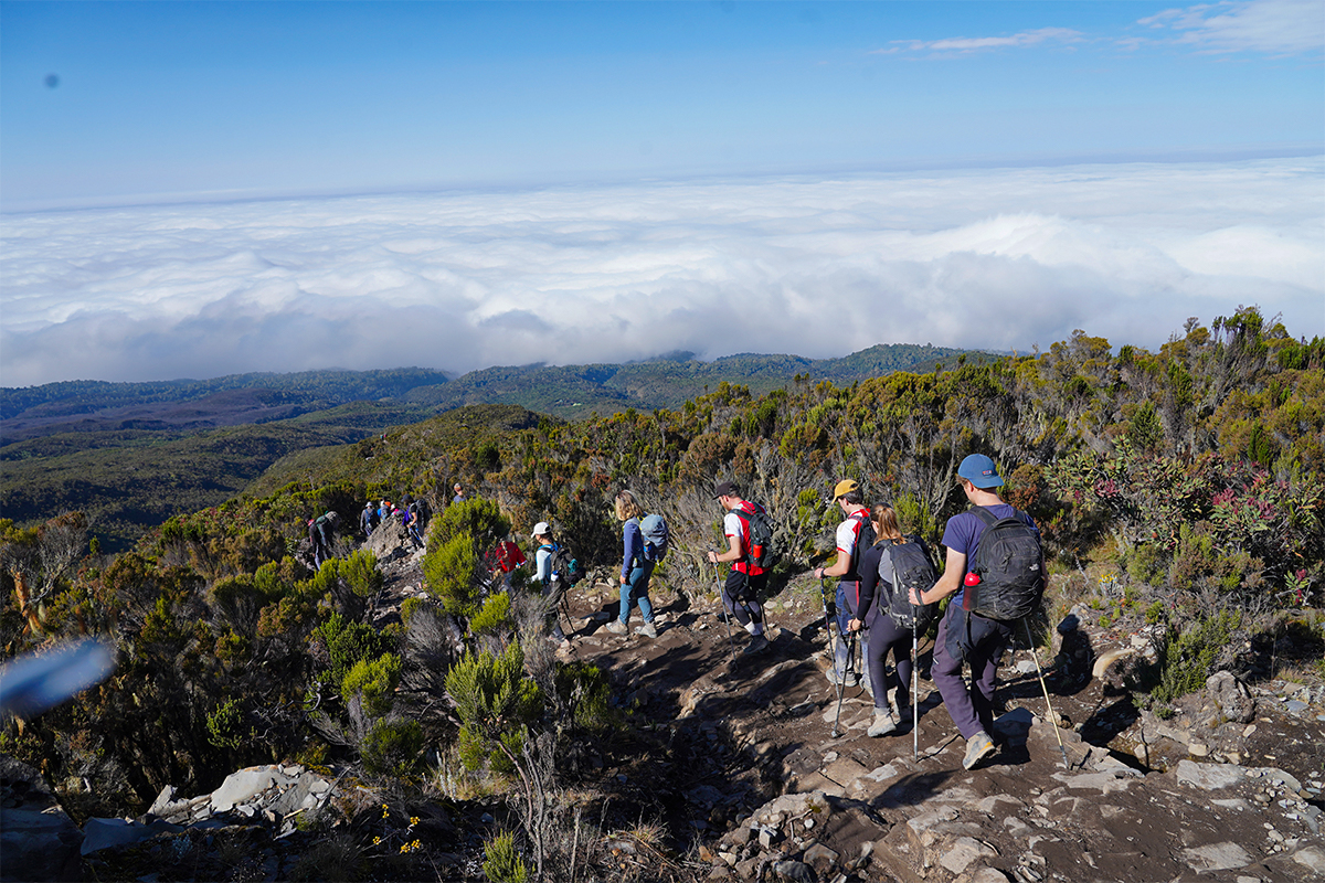 Climbers descending via Mweka Route